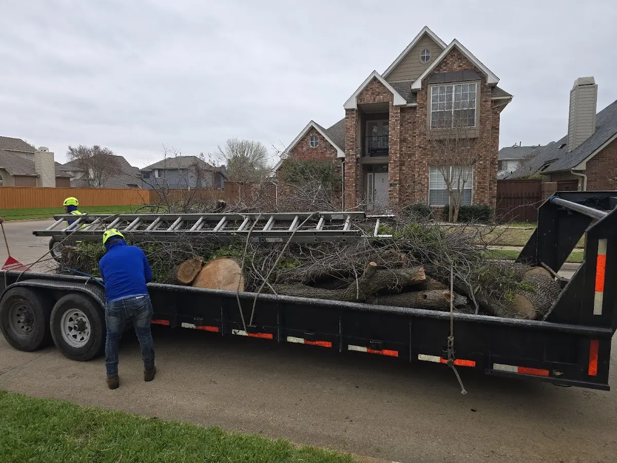 Expert Tree Fertilization with proper safety equipment in Countyline